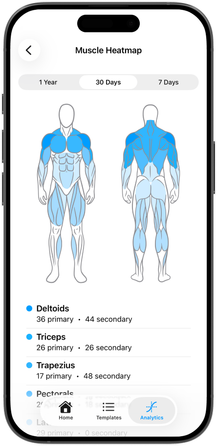 Muscle Heatmap tracking mockup screen